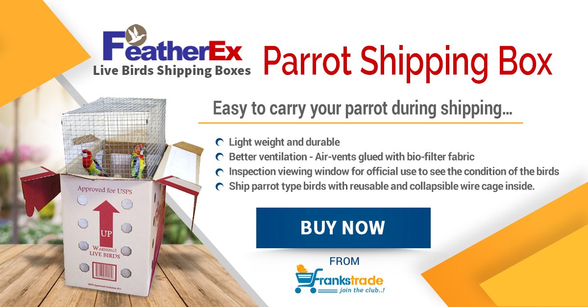 Frankstrade's tweet image. One FeatherEx Parrot Shipping Box
#FeatherEx #ParrotShippingBox
Buy: bit.ly/2fEOpYA