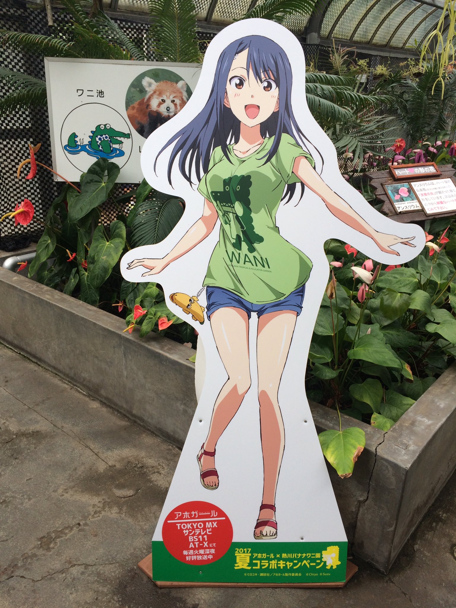 津島よじろう Twitterissa 熱川バナナワニ園 から帰宅 バナナとワニ以外にもハイビスカスやラン等の花や熱帯植物 マナティや ティラピア チュウゴクサンショウウオ レッサーパンダetc 色んな動植物が園内には飼育されていて楽しめました また アホガールと