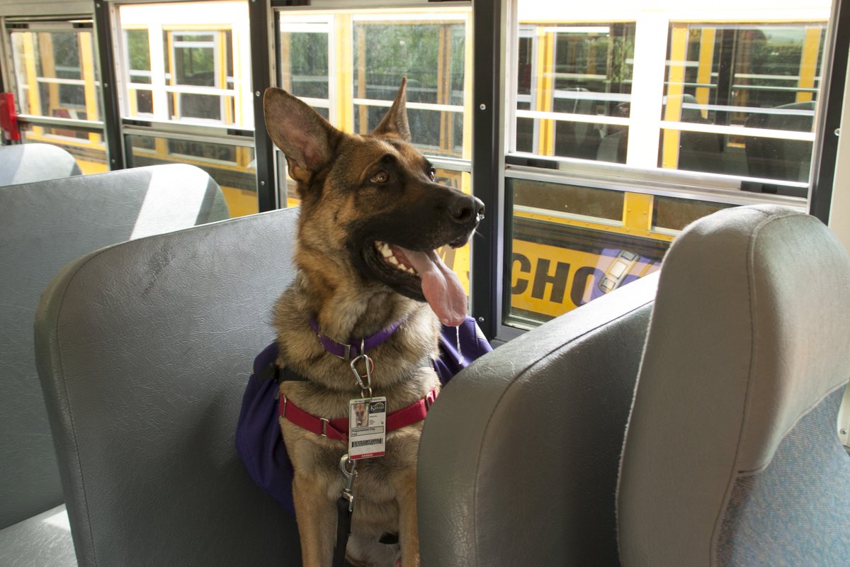 FredPrepDog's tweet photo. #School is back. Remember #bussafety whether you're riding or driving. Get on &amp; off safely and listen to the driver. https://t.co/yqBHaqmrGr