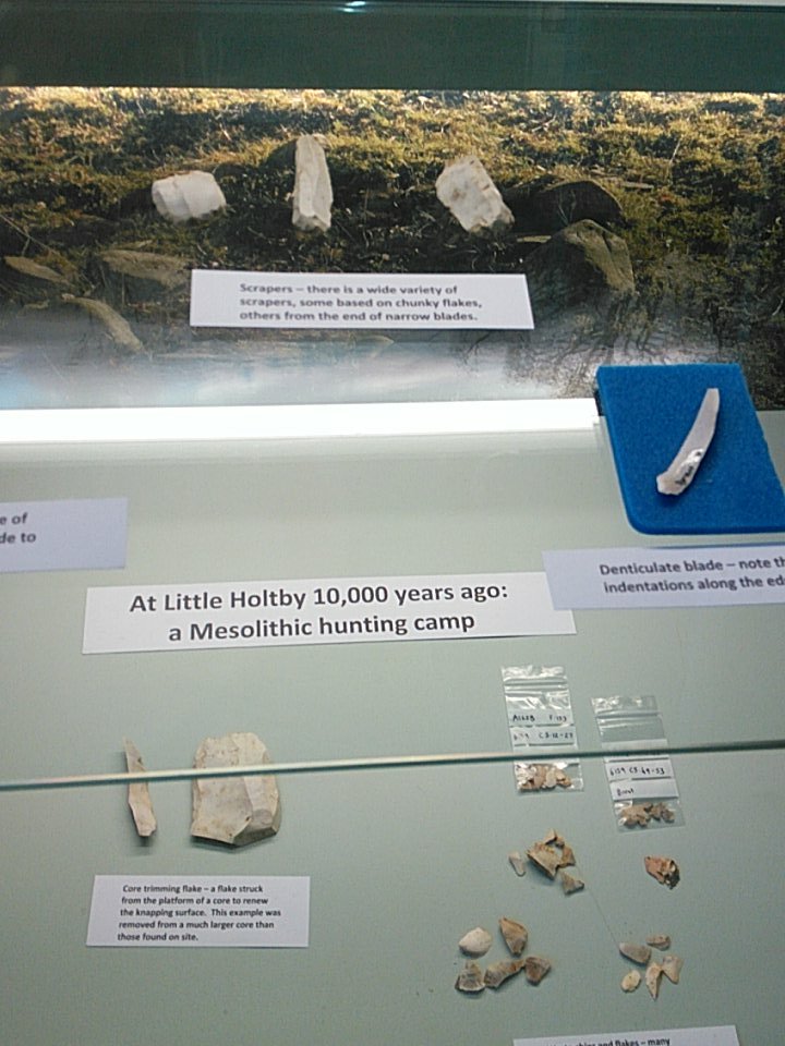 Part of this year's archaeology display, why not come and have a look
