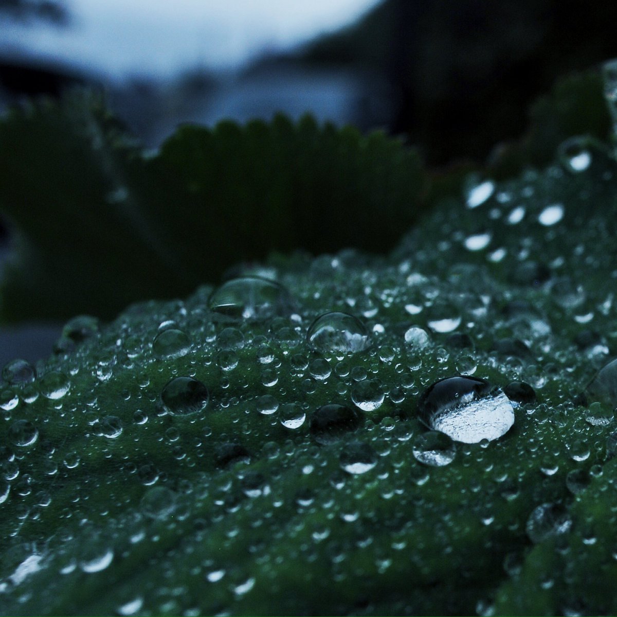99gerbie's tweet photo. Rain in the Lake District https://t.co/T5DVS7WW2K