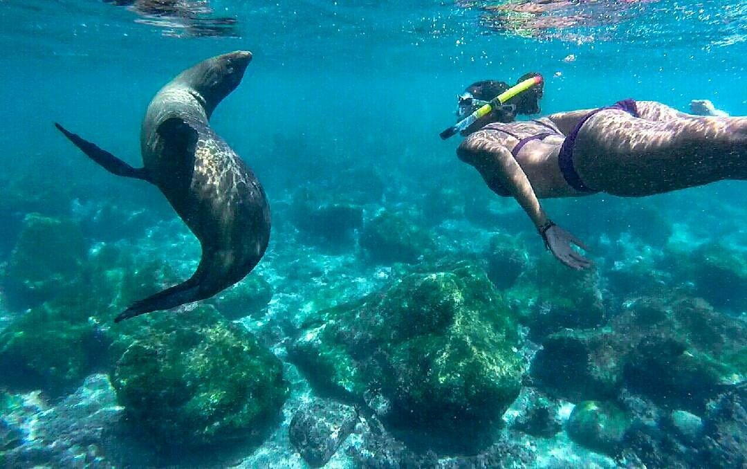 Por: @lucindafifi
Islas #Galapagos #lasEncantadas #Ecuador #allyouneedisecuador