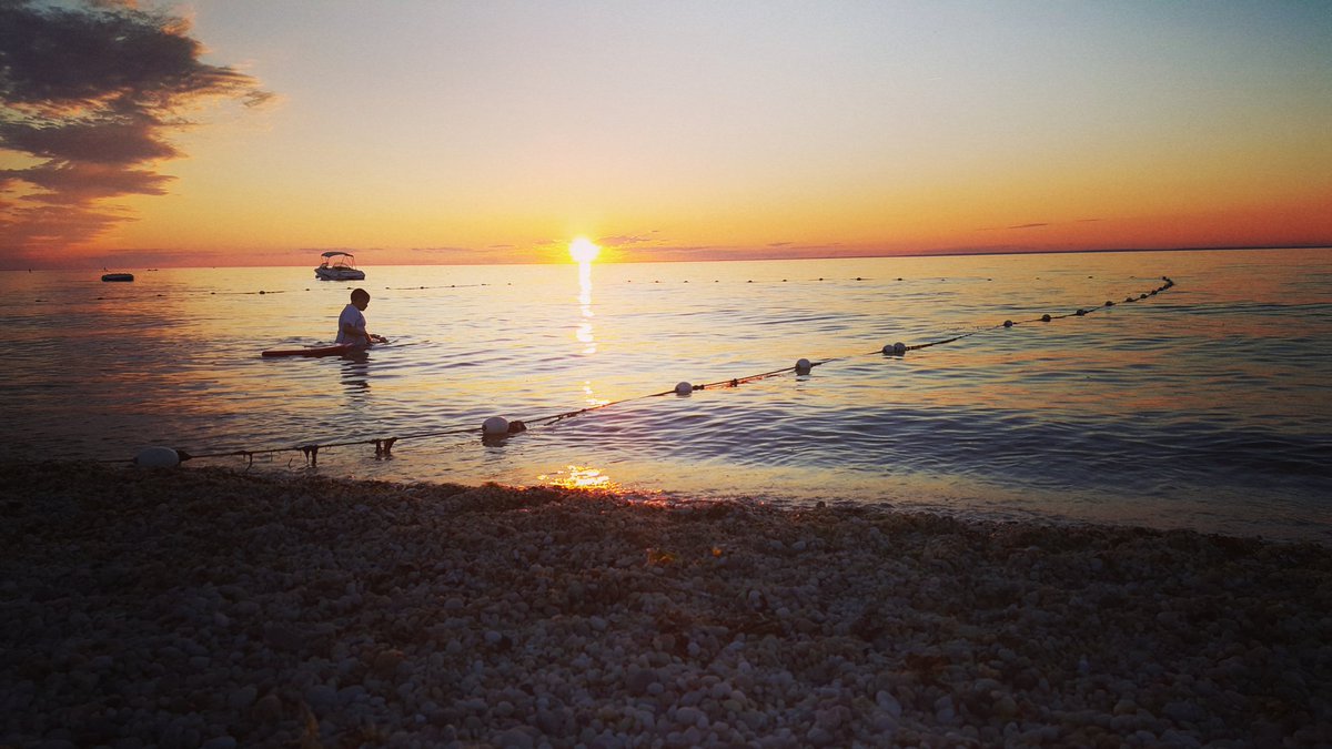 North Fork Gift tweet media