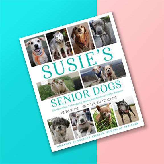 WhiteRabbitPres's tweet photo. #readinglist : Susie's Senior Dogs #adoptdontshop #goodreads #susiesseniordogs #erinstanton #seniordogs #rescuedismyfavoritebreed https://t.co/LnjVWM8j4H