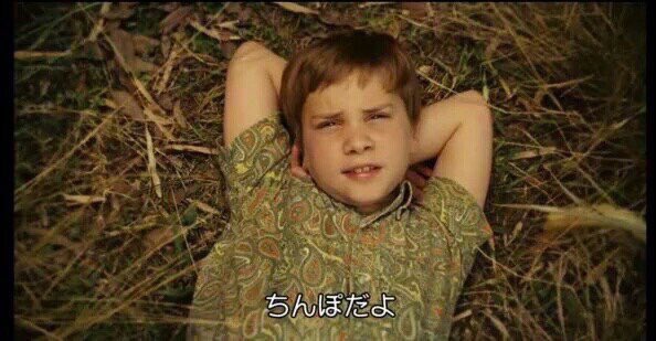 shandy_ko's tweet photo. @7_Petro  https://t.co/RRX9OXgHBx