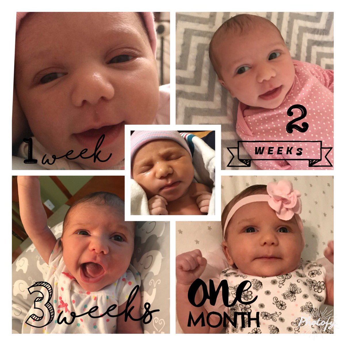 khamptonteach's tweet photo. #onemonthold #LinleyKate https://t.co/Dg90ouUuvO
