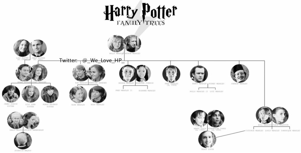 Family Trees