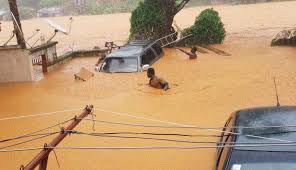 O20noticias's tweet photo. 180 Muertes tras fuertes lluvias en Sierra Leone https://t.co/kwgcbwWNzQ https://t.co/x8UzlKXmkw