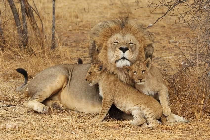 ParkviewSafaris's tweet photo. Explorer the world this November @parkviewsafaris https://t.co/gEpF2arkdm