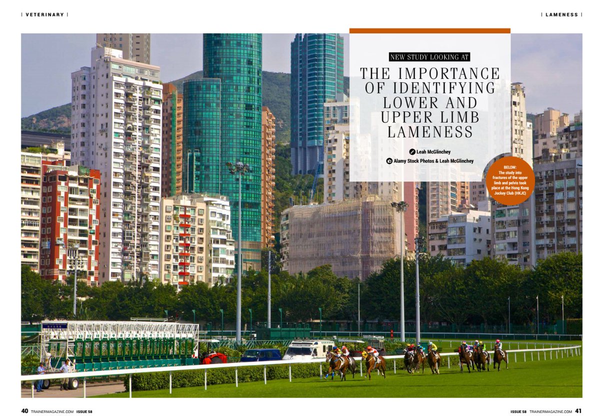 Trainer Magazine tweet media