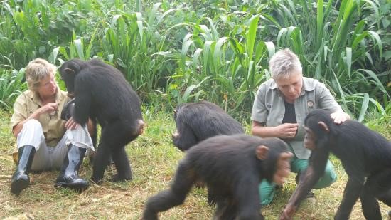 ParkviewSafaris's tweet photo. Explorer the world this November @parkviewsafaris https://t.co/gEpF2arkdm