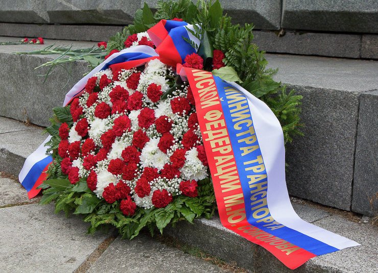 напольные цветы фото и названия напольные цветы фото и названия