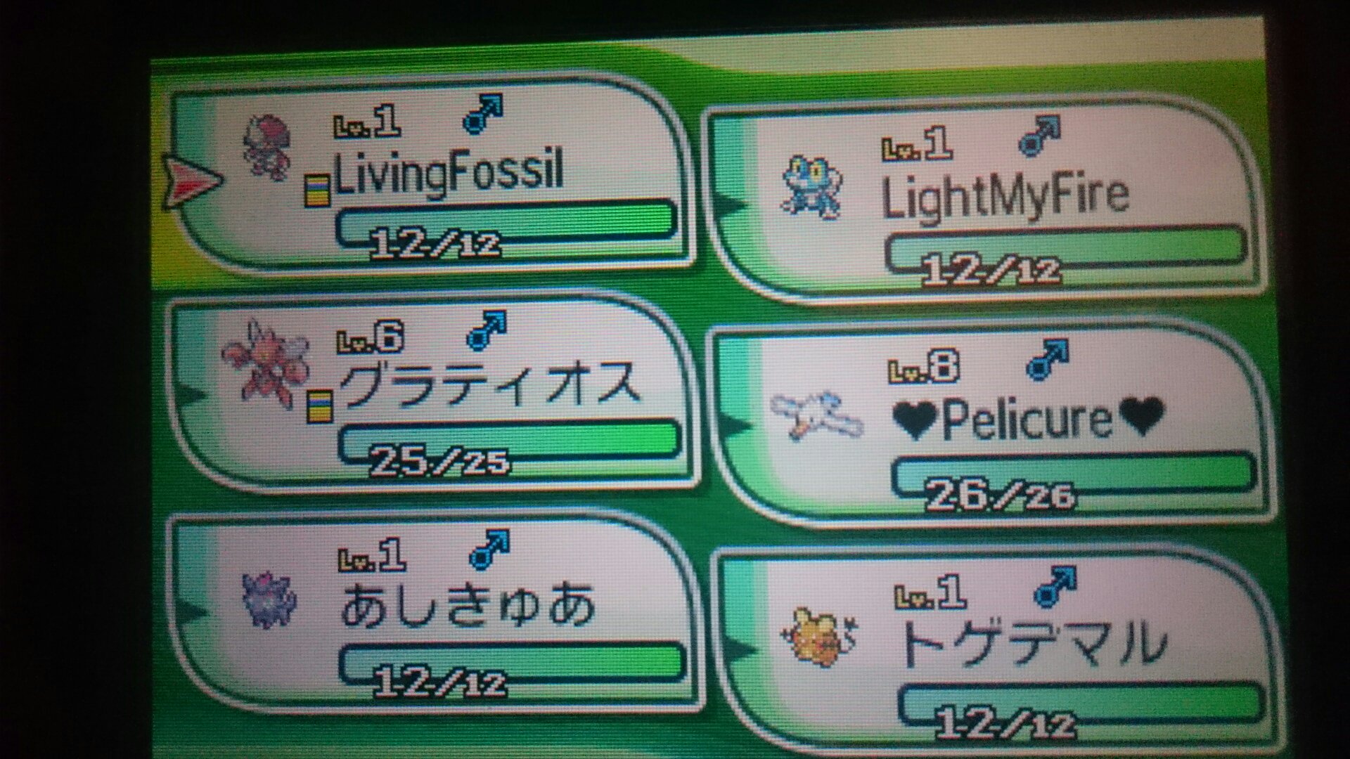 よすが Al Twitter Bw乱数で乱獲した6vメタモンで国際孵化したいので サンを英語版で始めてみた 今回の旅パは実況者統一 キザン 生ける化石 蛙 優勝おめ ハッサム ラティは無理 ペリ キラキラネーム失敗 ゾロア ゴリラ要素抜き抜き 鼠 アイドル T Co