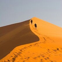 EdConsciente's tweet photo. Buen día!  A partir de hoy este twitter se hace parte de la defensa de las dunas de #Concón #dunaverde #MedioAmbiente @MMAChile @municoncon https://t.co/gzNxyMI1gH