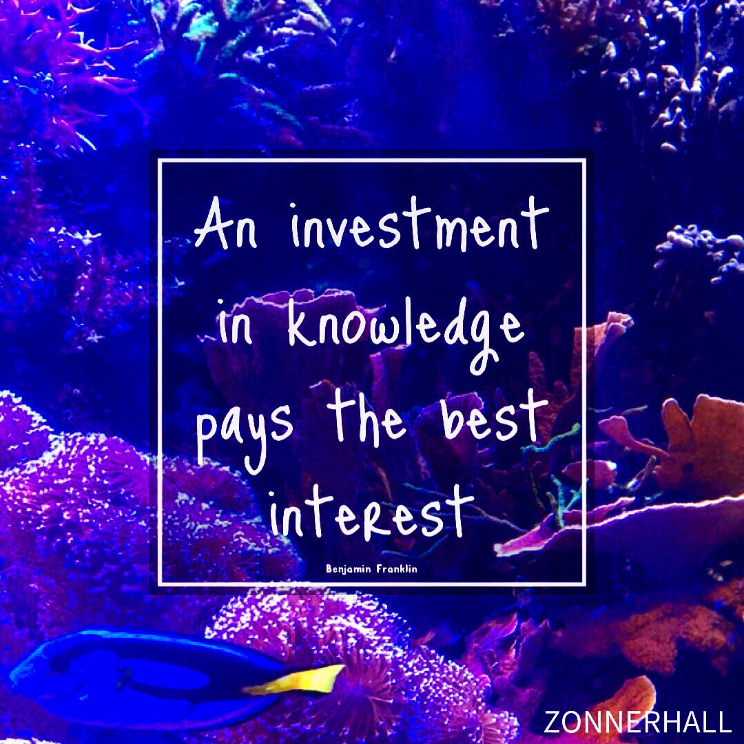 Zonnerhall's tweet photo. Let today be the start of something new. Happy first day of School! #quotes #motivation #wordsofwisdom #education #success #growth #learning https://t.co/AwPeAzbueo