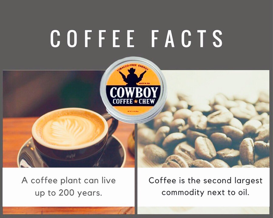 chewcoffeedip's tweet photo. We are your Perfect Monday Morning Cup of Joe Coffee Honey Sugar & Cream #SummarizeMyLife #caffeineaddict https://t.co/YkOkRmCDRN https://t.co/kafcvIaUVp