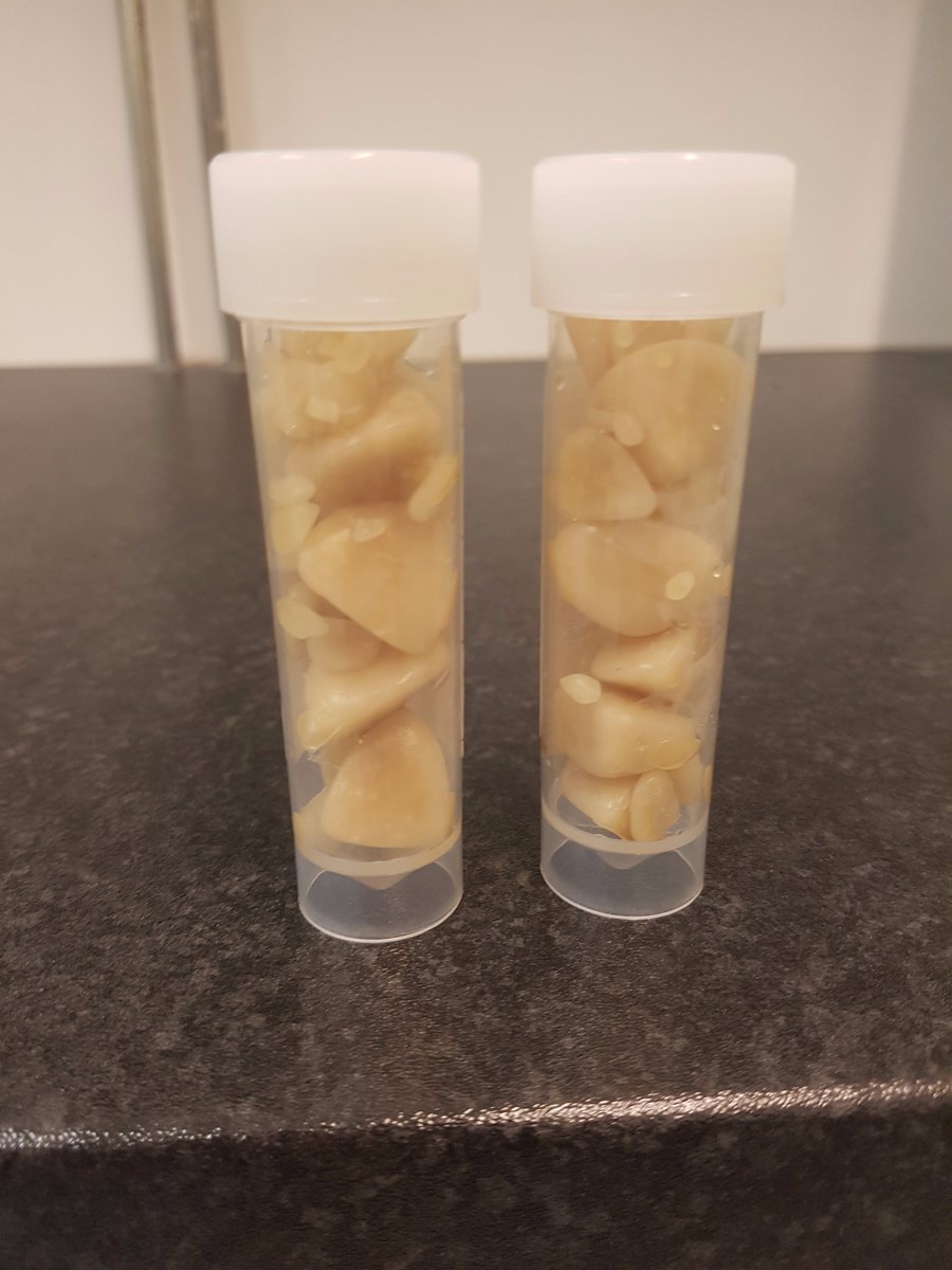 Vets Klinic tweet media