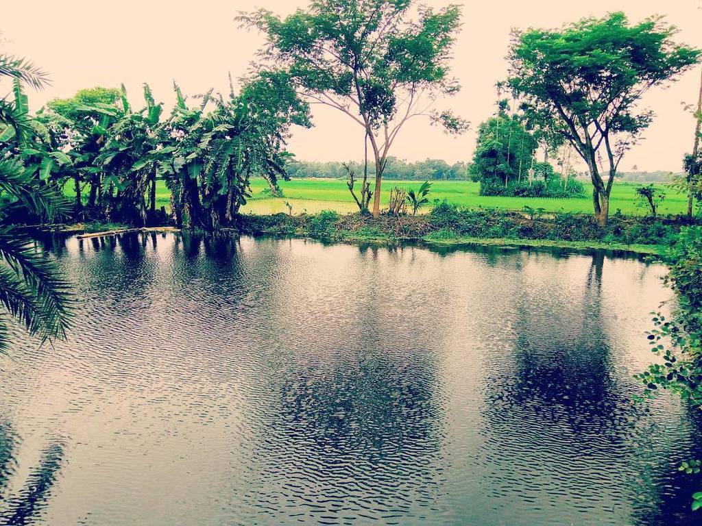 mmncit's tweet photo. #beautifulbangladesh https://t.co/bOXcLLHzP6 https://t.co/hrqY8yTEkO