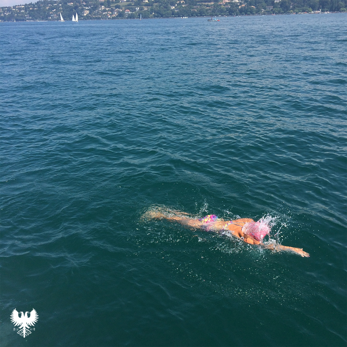 Lake Geneva Swimming Association tweet media