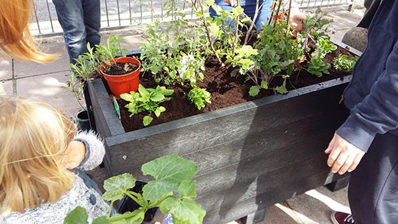 BeMoreSquirrel's tweet photo. Have you seen our #CommunityPlanters in #Splott &amp; #Adamsdown? Help us look after them &amp; harvest herbs &amp; fruit/veg later in year... https://t.co/Ysyz5EARXp