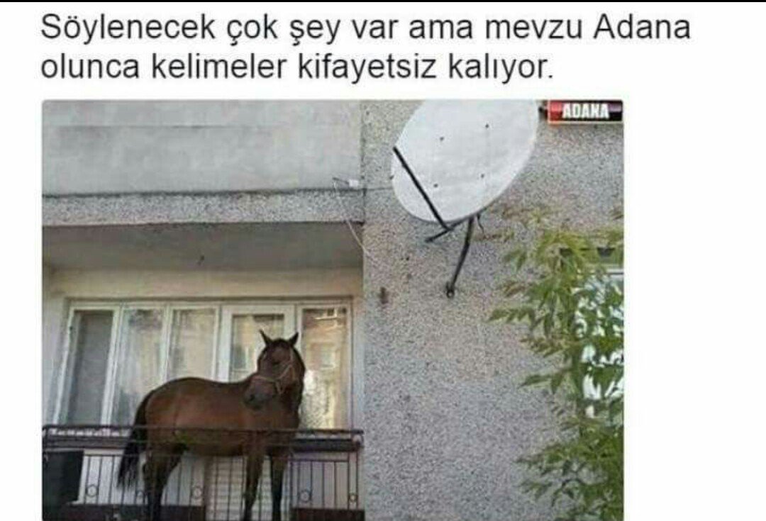 Hava çok sıcak bugün balkonda yatıcam.
