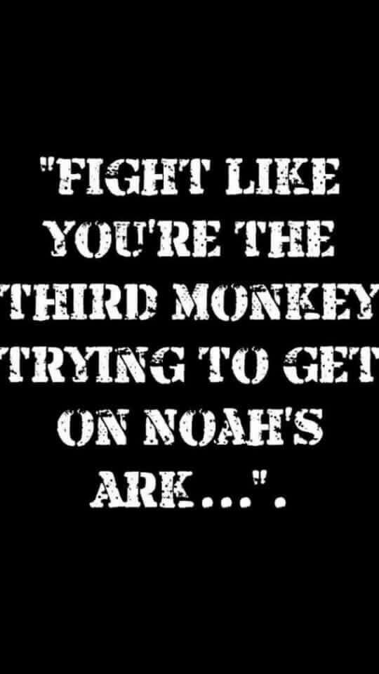 T1FFAN7_'s tweet photo. Have a good day everyone! 😀😀 #MondayMotivation https://t.co/dYI1aQHpBm
