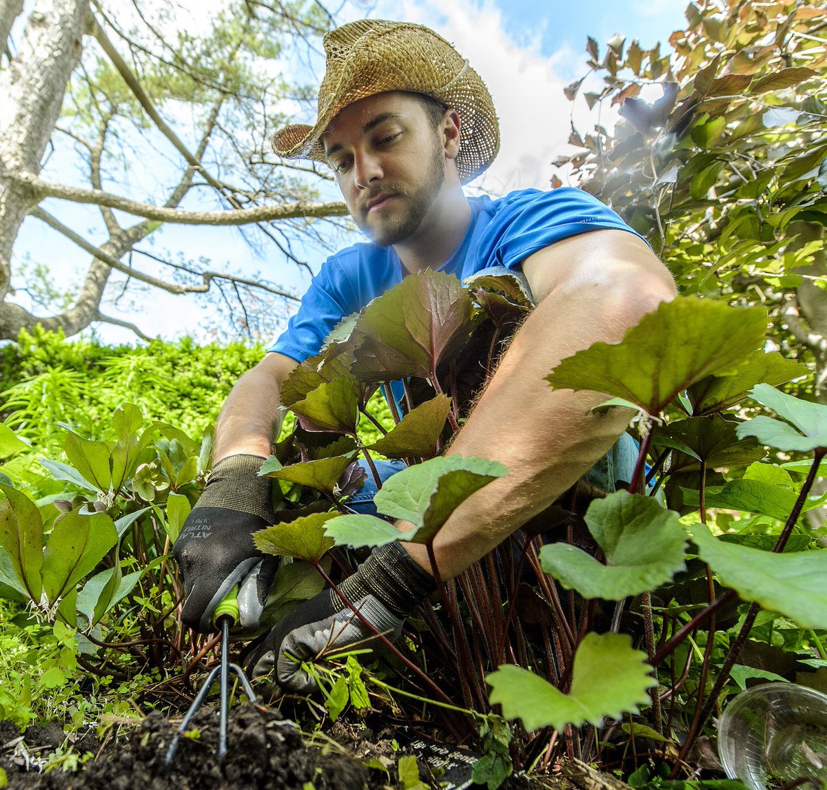 UWMadisonCALS's tweet photo. Visit Allen Centennial Garden with director Ben Futa in this week's throwback #podCALS! https://t.co/nNPLtdpxR3 https://t.co/tyGws6lp0B