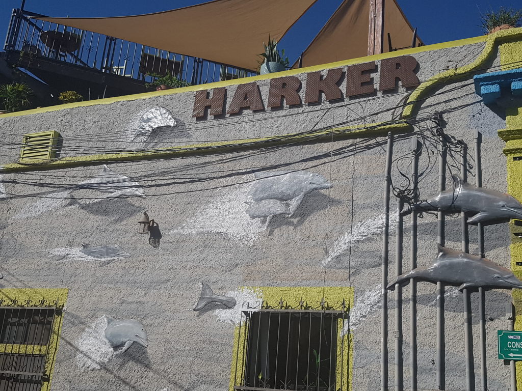 Dolphins at Harker #streetart wall paintings in <a href="/La_Paz_BCS/">La Paz BCS Mexico</a> at malecon between bus terminal and Restaurant Bismark