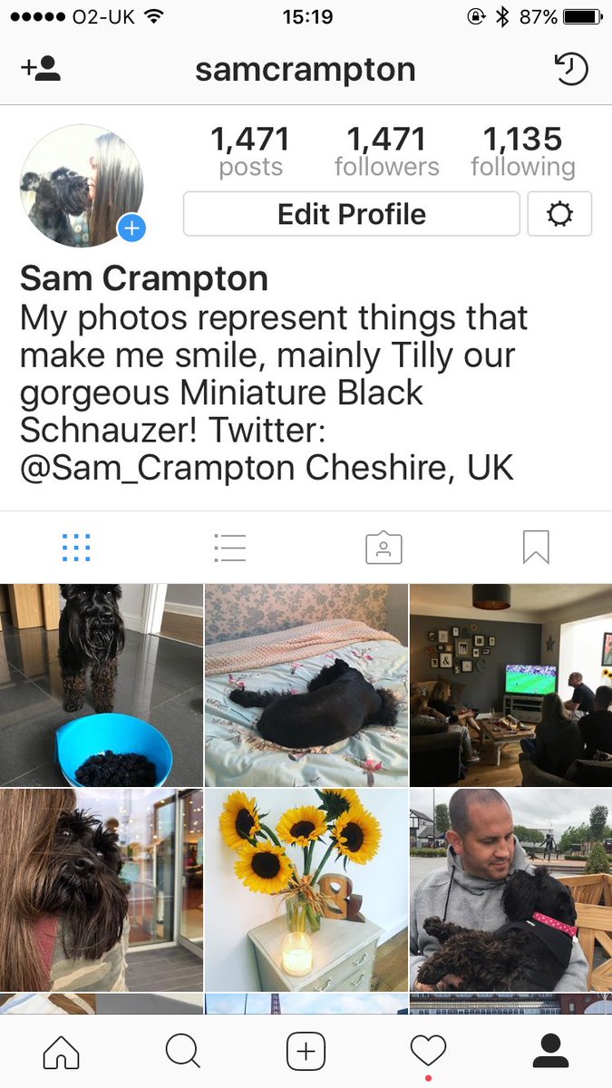 Sam_Knight18's tweet photo. I've just noticed that I've posted exactly as many photos as I have followers #instagram #howrandom 🤔 https://t.co/Dy1HfL7HBC