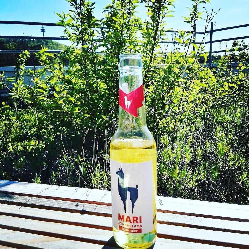 drinkmari's tweet photo. Is it just me or does the sun shine brighter when you've got a Mari in your hand? ⠀
⠀
Reposting @alexkuesshauer https://t.co/Gzp1QQpwiJ https://t.co/zL1l2IZD1j