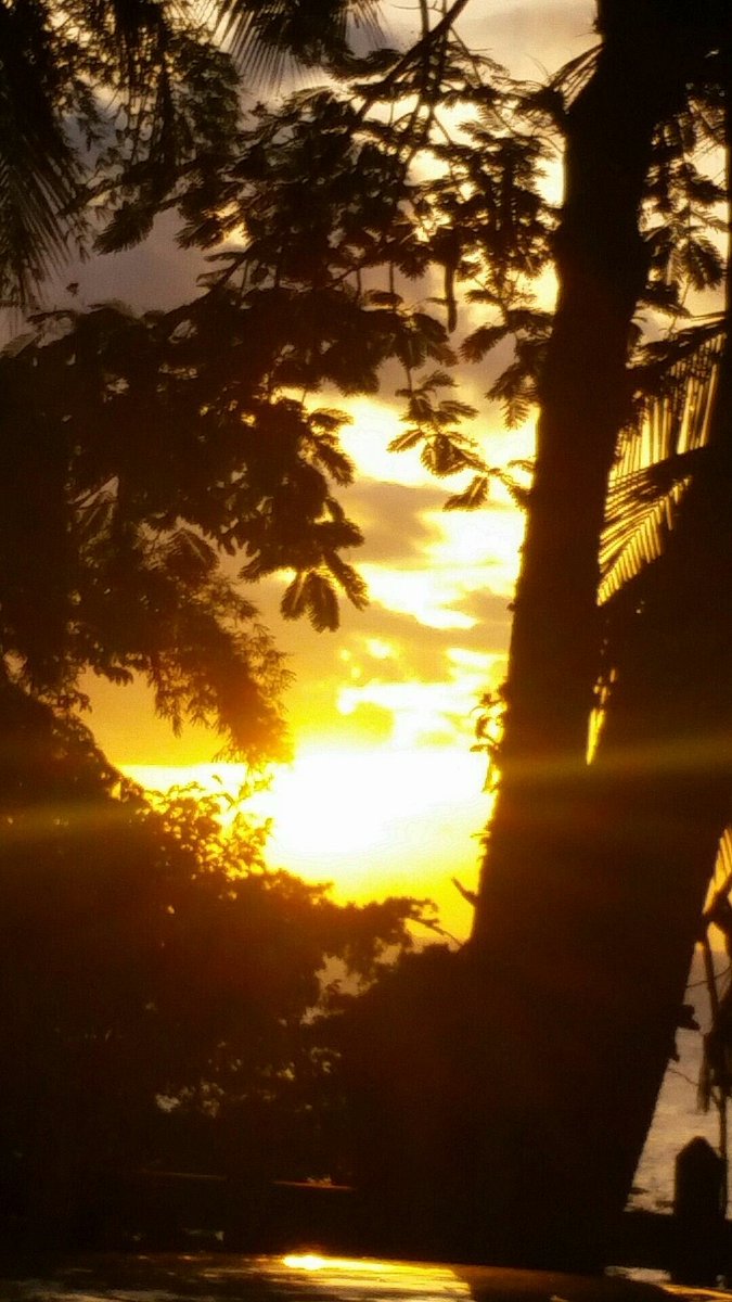 preciouspouting's tweet photo. #TrinidadandTobago  #Macqueripe #sundayevenings #sunset #caribbean #beach https://t.co/oe9jUaxByw