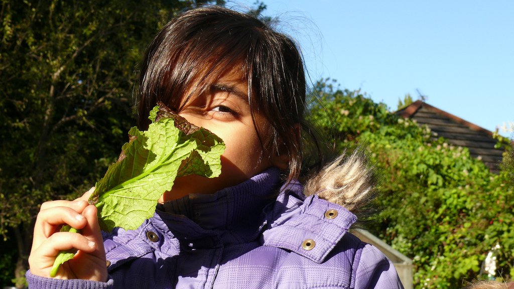 growcomm's tweet photo. Weather looks MUCH more promising this week. Join us Weds with your 2-8-yr-olds for garden fun @stokeyparents https://t.co/GjcUBTNjX2 https://t.co/O8lklrOPMw