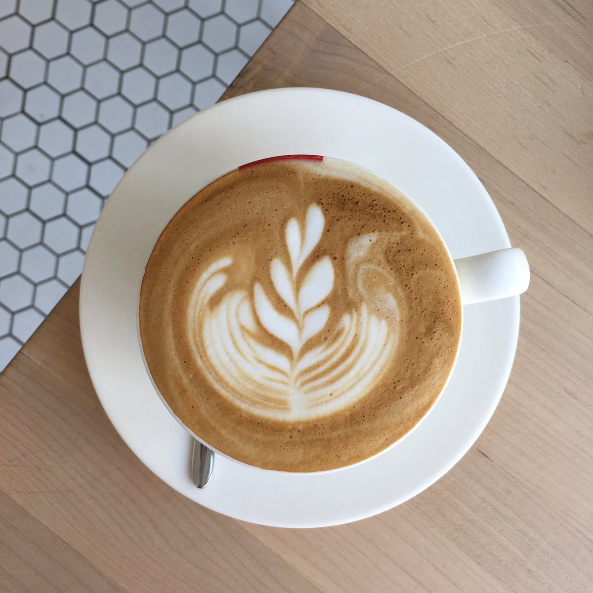 HailedCoffee's tweet photo. Hailed cap~ cardamom infused cappuccino #goodmorningTO #yyzcoffee #toronto https://t.co/HN9mSFr45M
