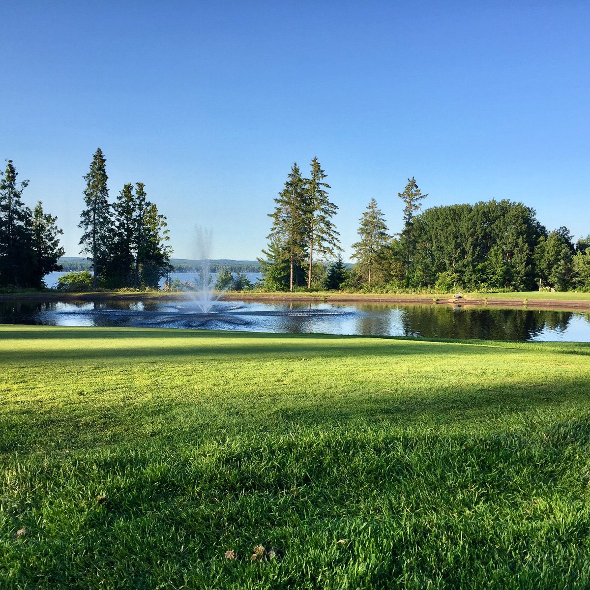 Case of the Mondays? We've got the cure! 18 Hole golf&amp;cart $35 or $21 walking AFTER 1PM DAILY!
#caseofthemondays #gogolf #golf