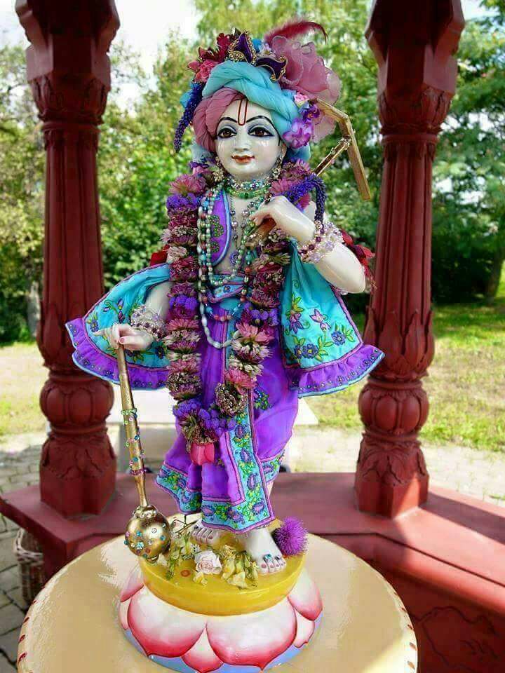 Dinesh Kisan (@kisandinesh) on Twitter photo 
