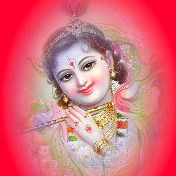 Dinesh Kisan (@kisandinesh) on Twitter photo 