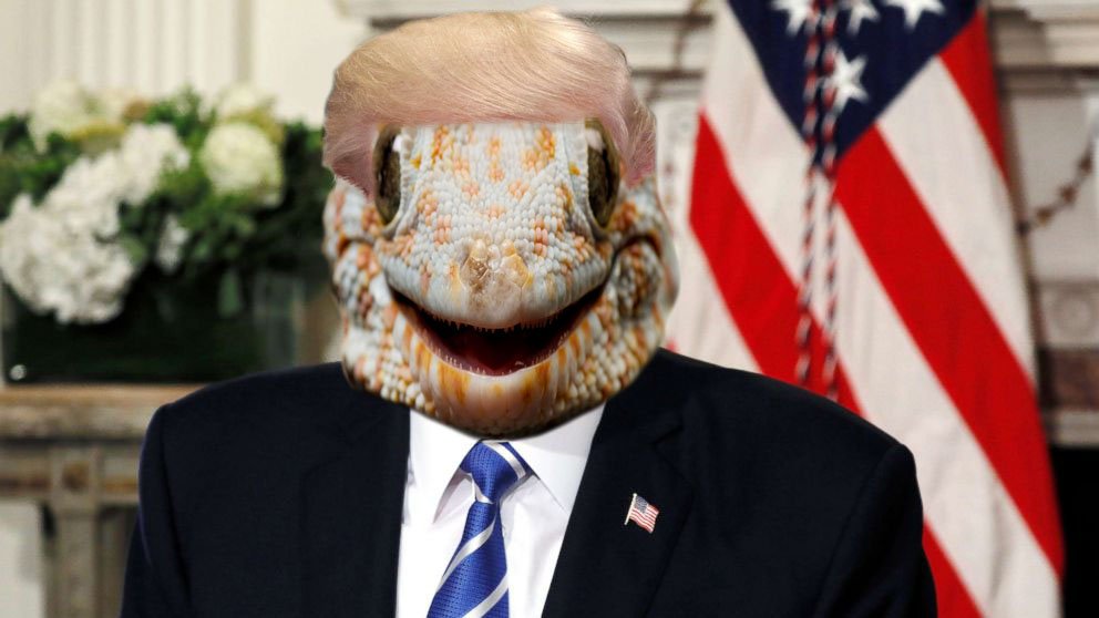 livefrom45's tweet photo. it's #WorldLizardDay , where lizard people across the globe ditch their disguises for one day only #LizardTrump https://t.co/DAEXOT2XME