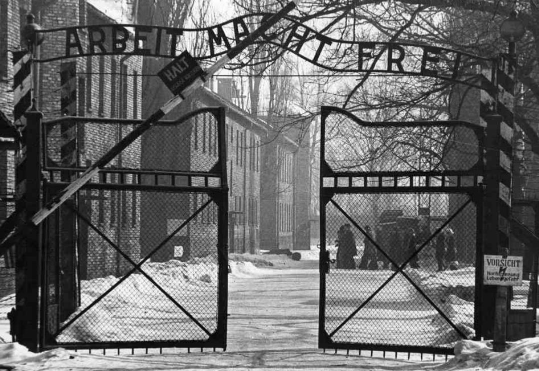 dtitwp's tweet photo. @realDonaldTrump  Watch this video to remind you &amp; your nazis, supporters wht hapens whn ignore signs #endofhate  https://t.co/og8dECnZm8 https://t.co/LIM9LSzjDp