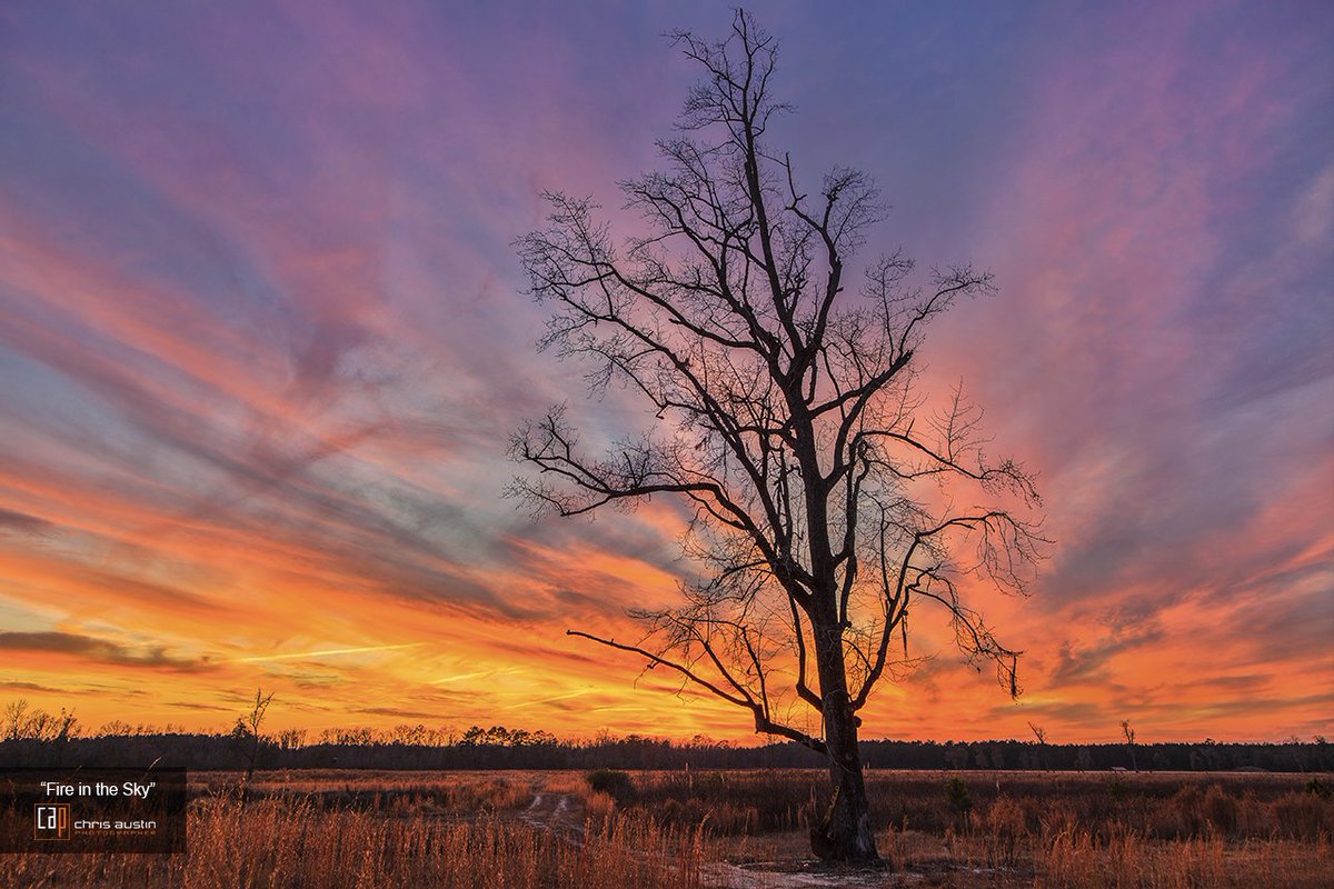 ChrisAustinFoto's tweet photo. #PhotoOfTheWeek  "Fire in the Sky"

#sunsets #carolinaskies #fineartphotography #wallart #interiordesign #chrisaustinphotographer https://t.co/spoNvmVSUP