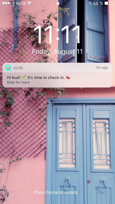 serenitydiscko's tweet photo. I’m building an app that helps you remember to drink, eat, and take a break from the internet. 🌱 

Back this app up: https://t.co/LhaoT5qeVI https://t.co/5Nt1h3V9GD