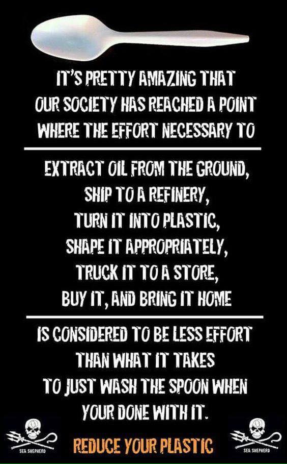 sascampaigns's tweet photo. #RefuseForVictory
Boycott single-use plastics with us and #JoinTheResistance to #FightWasteland at https://t.co/4fML2gzaVY. @seashepherd https://t.co/gigOQLczcp