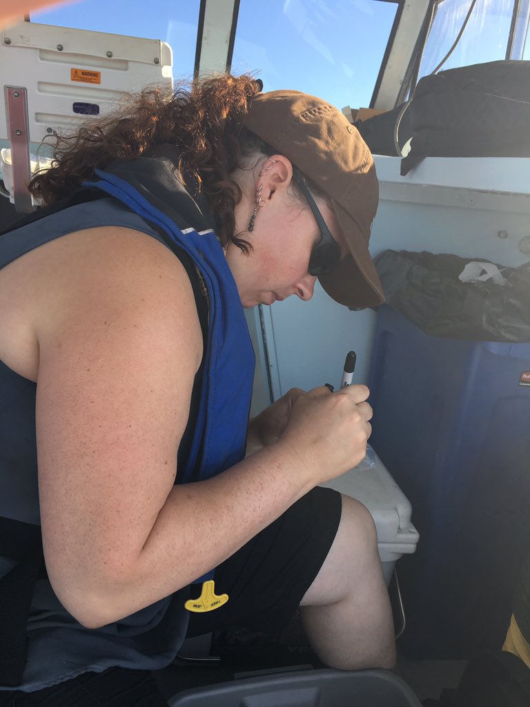 InvertebratesDC's tweet photo. Preparing for #plankton sampling on board R/V Sunburst #StreamCodeSMS #OsbornLabSI #GulfStream #invertebrates https://t.co/x3BhTv8T7r