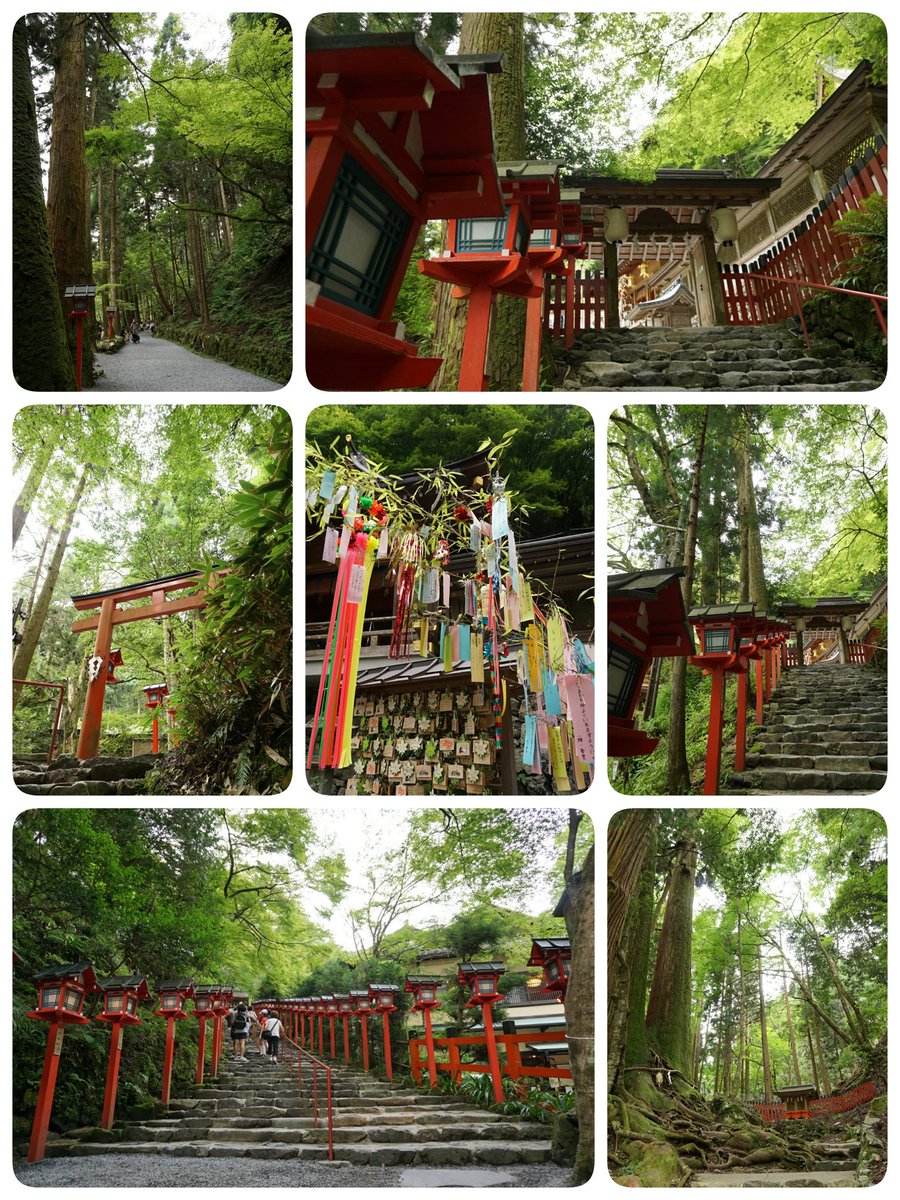 seasky_b's tweet photo. 貴船神社(*´ω｀*)
二度と車では行かない('､3_\)_

涼しくて、水の音が心地よい、綺麗なところでした✩⸜(* ॑꒳ ॑* )⸝
水占いもしました♪

「こんにちは」って参拝したけど、「いつもいい天気にしてくれてありがとうございます」ってお礼言うの忘れてた(；´・ω・) https://t.co/3OenIkLkP5
