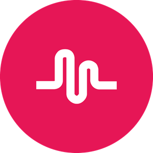 CEOPEducation's tweet photo. Musical.ly is a popular app for kids to create music videos for their favourite songs. Should parents be concerned? https://t.co/tS2u52j8uR https://t.co/Rn7e5FrLCe