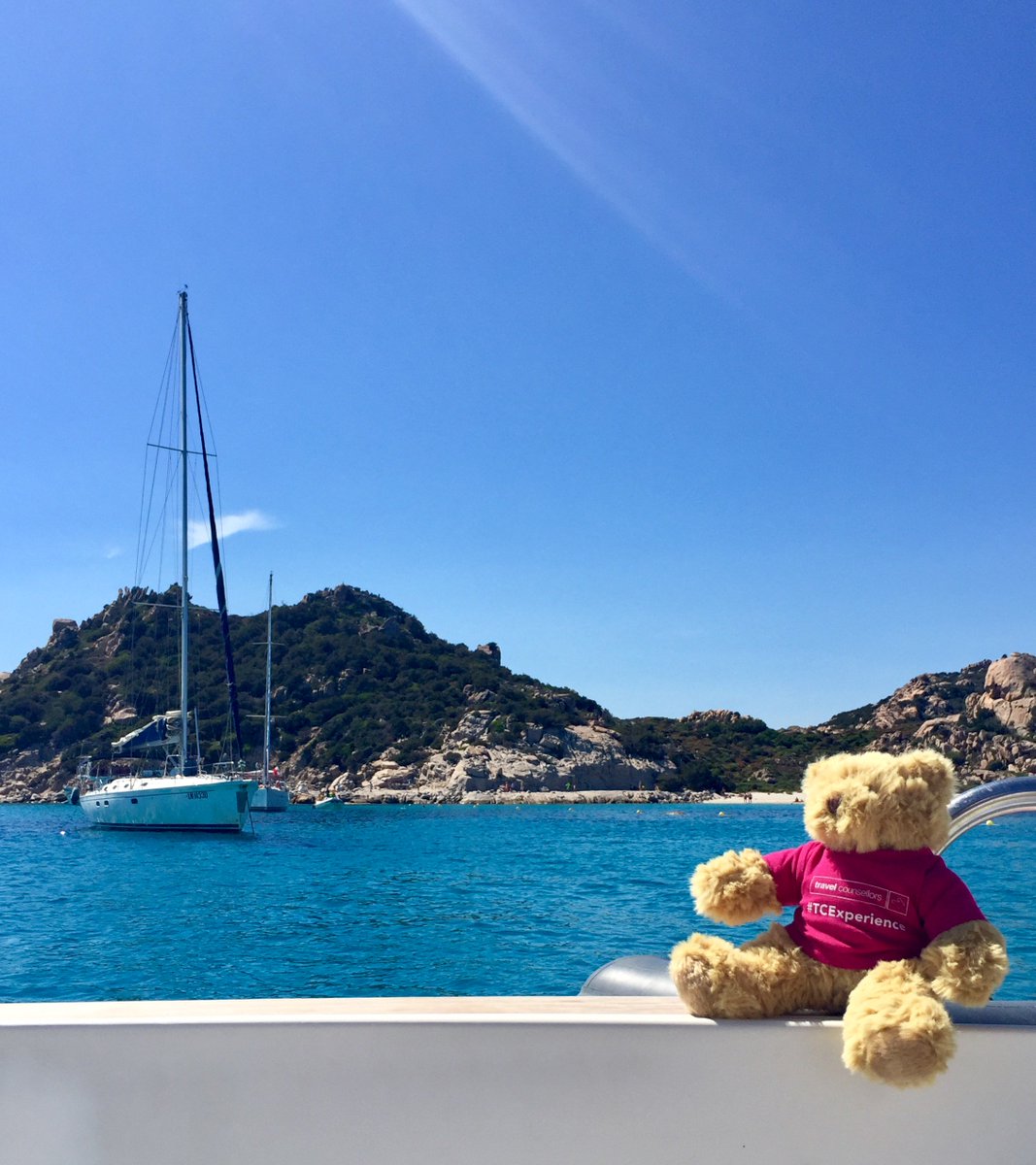 TCnederland's tweet photo. Ken jij onze vriend TC TED al? Hij reist deze zomer de hele wereld over samen met onze klanten! #TCExperience #tcted https://t.co/1Uz3JfvSau