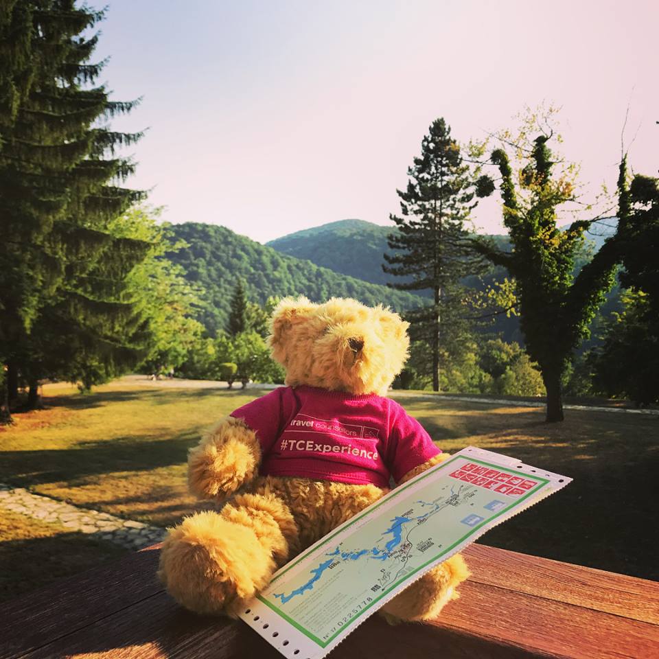 Ken jij onze vriend TC TED al? Hij reist deze zomer de hele wereld over samen met onze klanten! #TCExperience #tcted