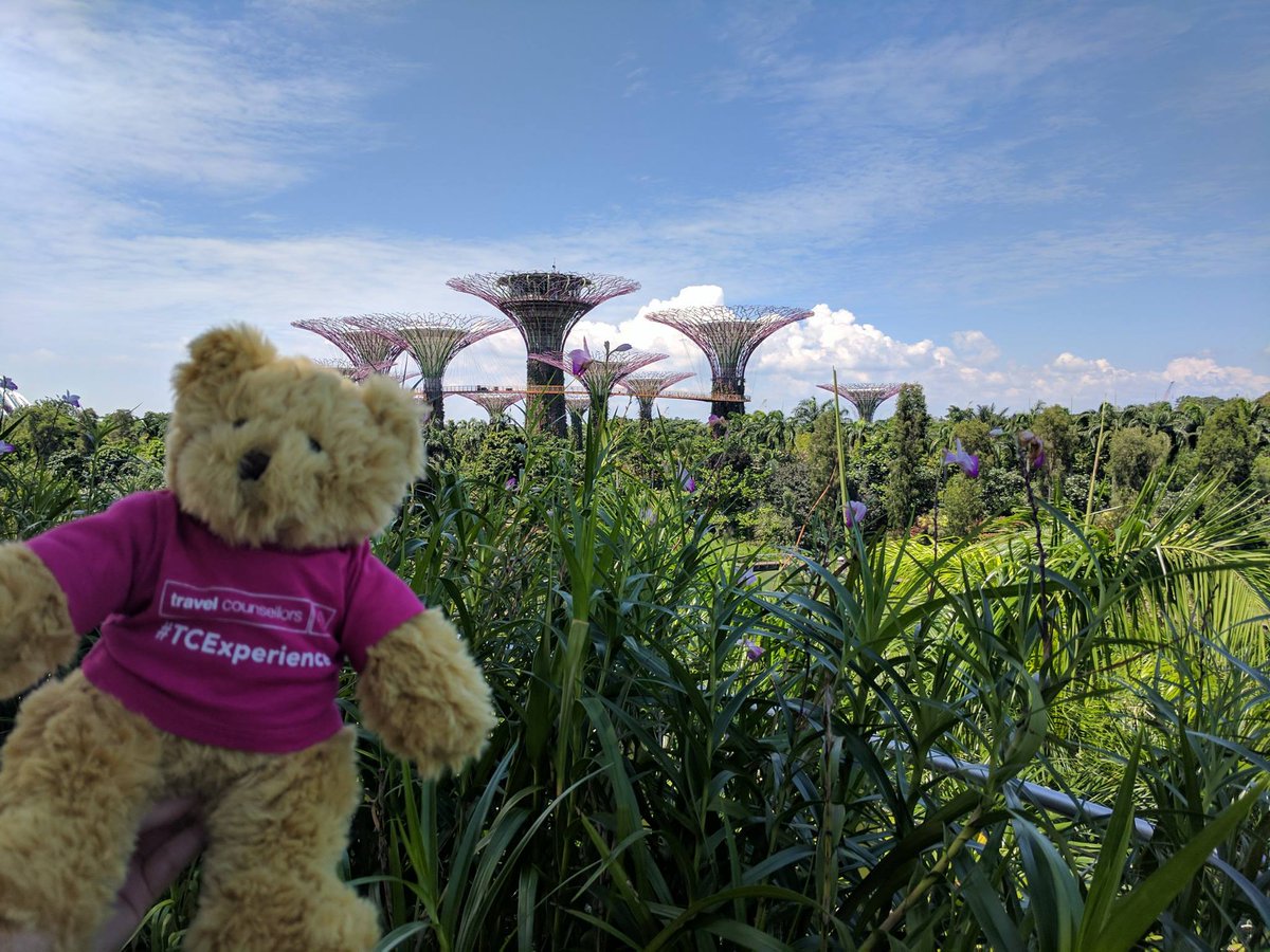 TCBelgie's tweet photo. Ken jij onze vriend TC TED al? Hij reist deze zomer de hele wereld over samen met onze klanten! #TCExperience #tcted https://t.co/04unmtdl8E
