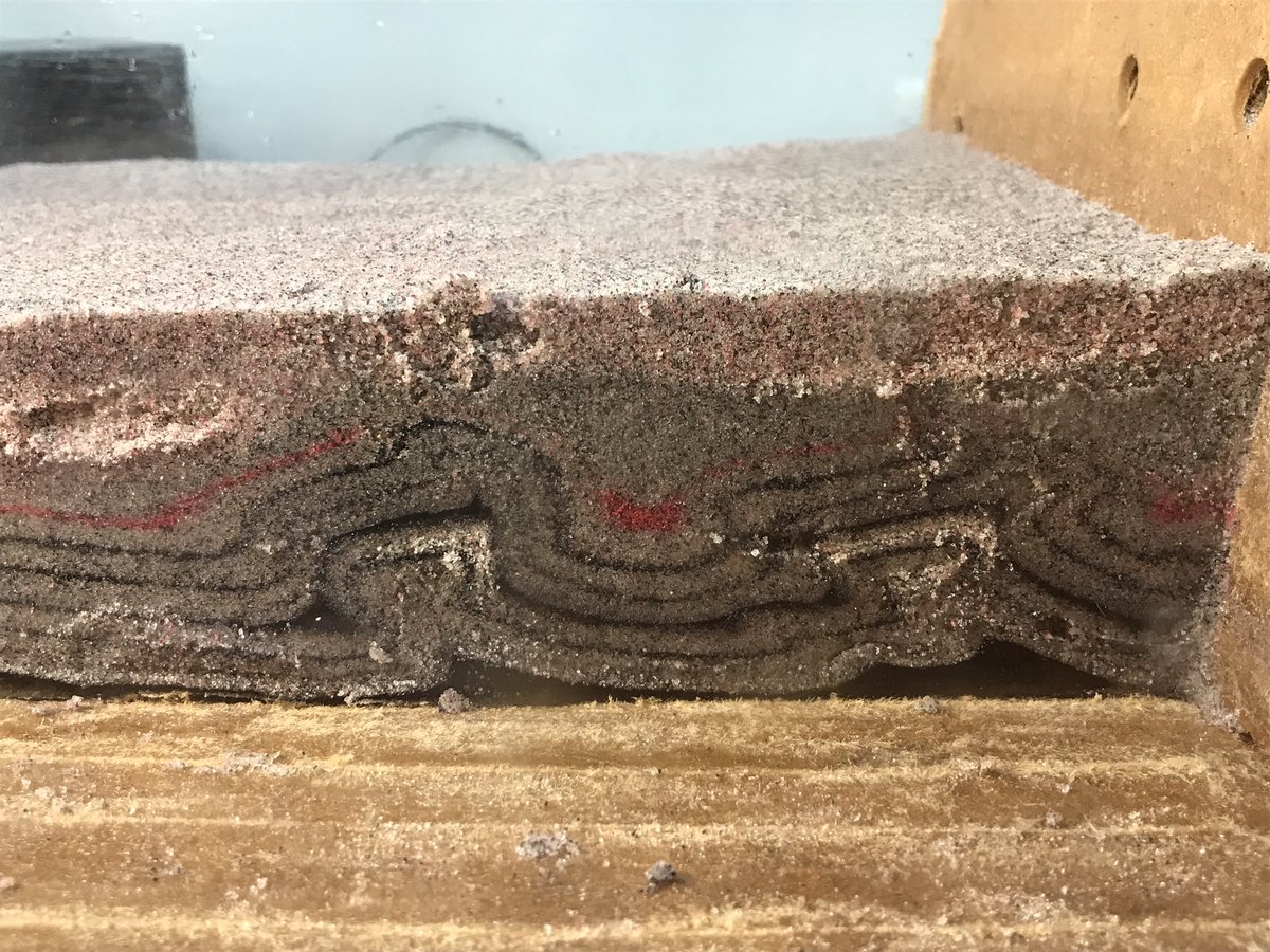 GeoSciTweeps's tweet image. Hello GeoSciTweeps! I&apos;m Cara, Assistant Prof in @unlcas Nebraska. I run an analog modeling lab; here&apos;s a recent experiment. #analoglab