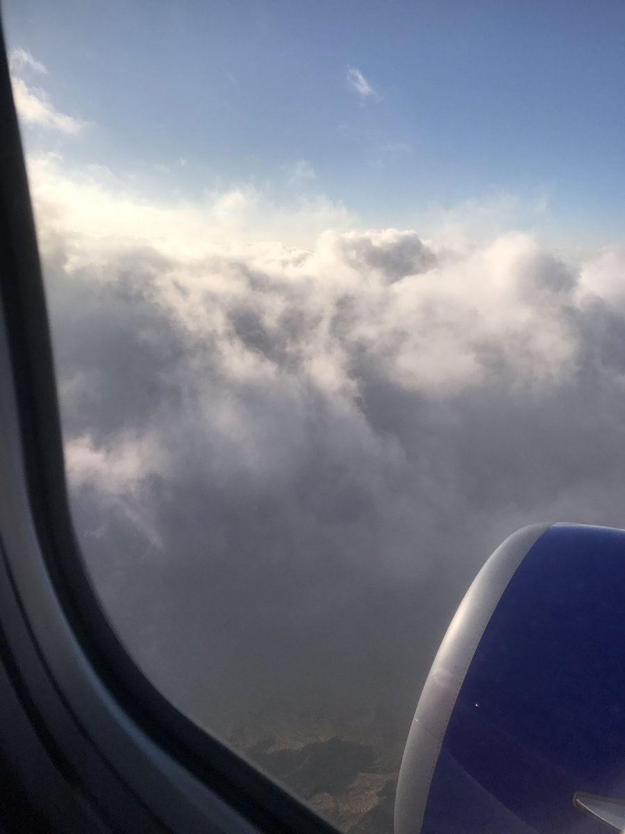 Ryan Trimberger tweet media