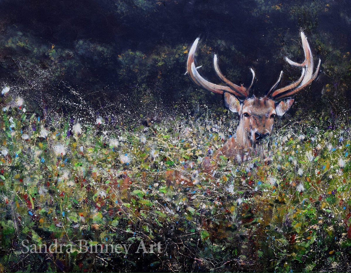 Just finished this painting for New forest Holiday Lets #stags #NewForest #painting